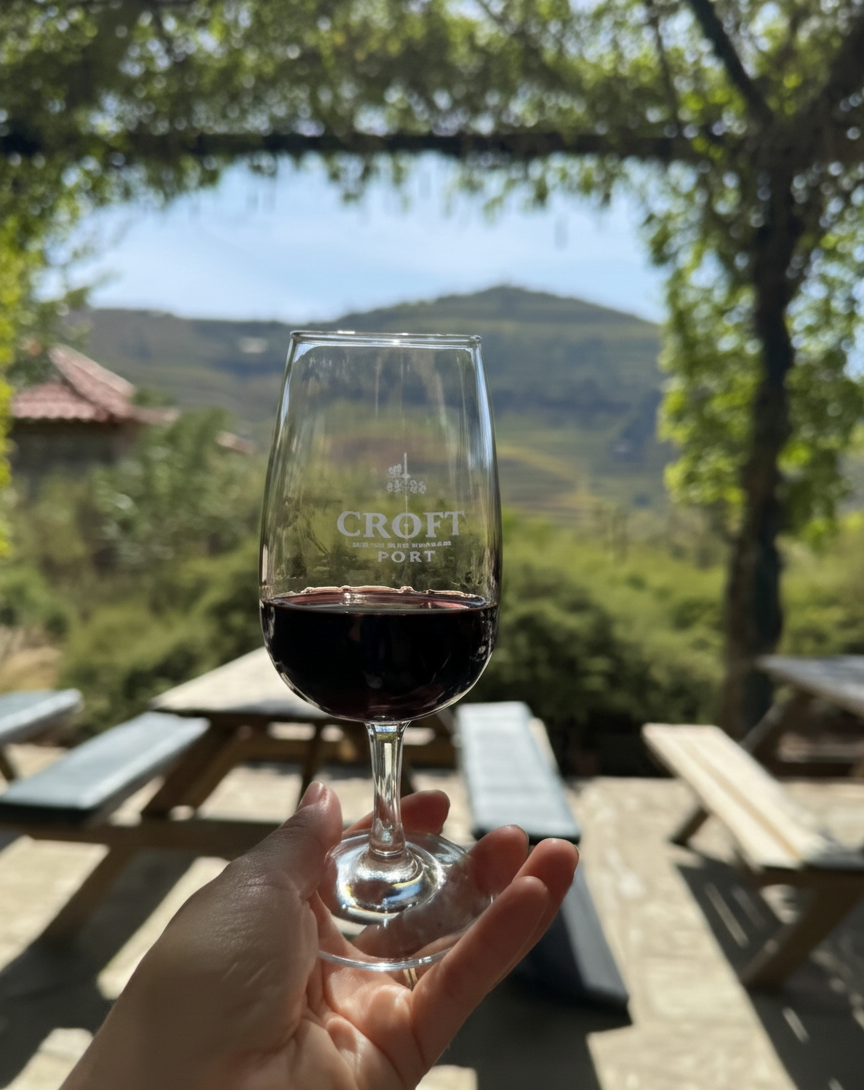 Dégustation de vins & Promenade en bateau