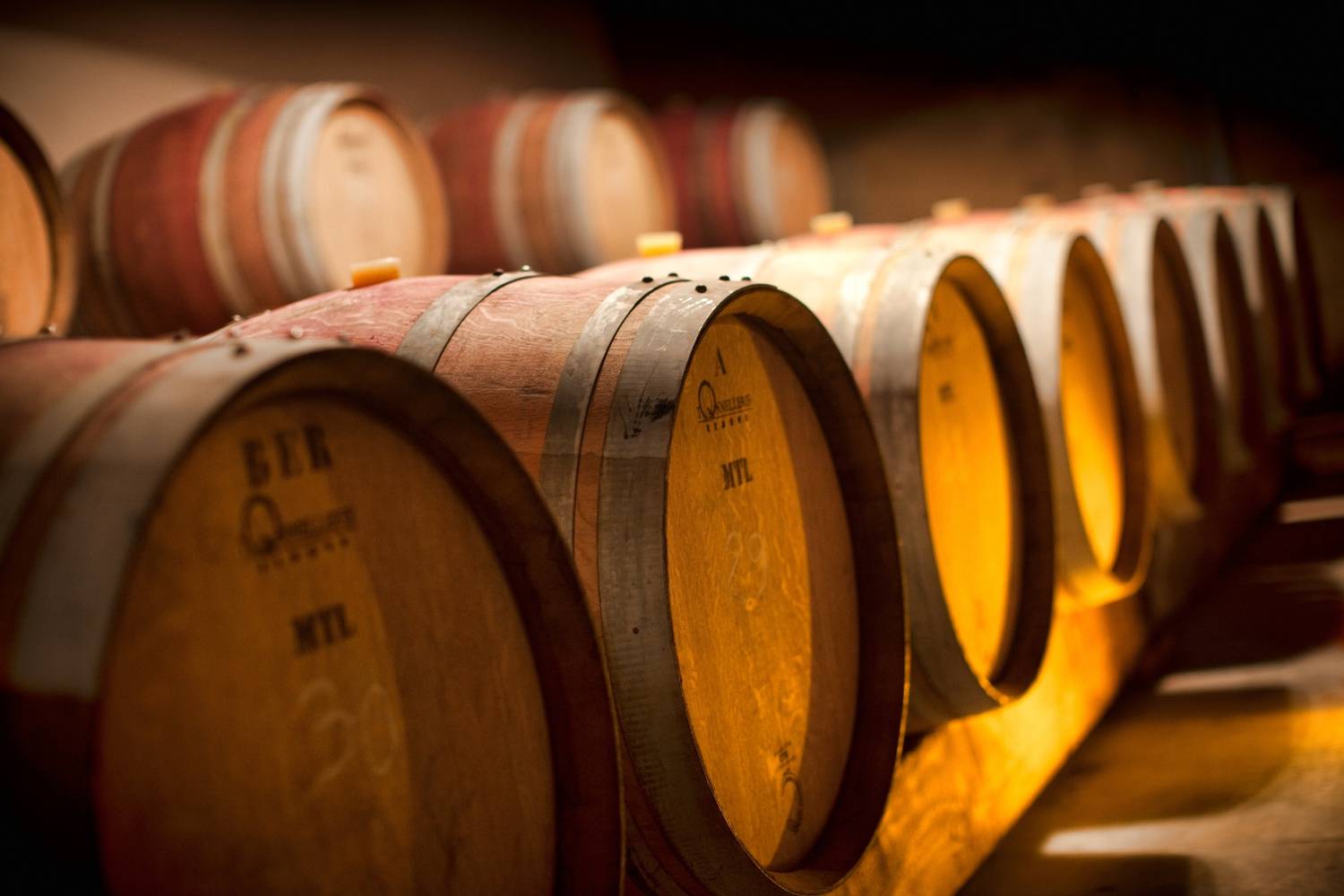 Route des vins de la Côte du Rhône : Itinéraire et lieux incontournables à visiter - 2026 - 19 - route des vins de la côte du rhône, route des vins cote du rhone, route des vins côte du rhône route des vins de la côte du rhône, route des vins cote du rhone, route des vins côte du rhône - Route des vins de la Côte du Rhône : Itinéraire et lieux incontournables à visiter - 2026 - 18