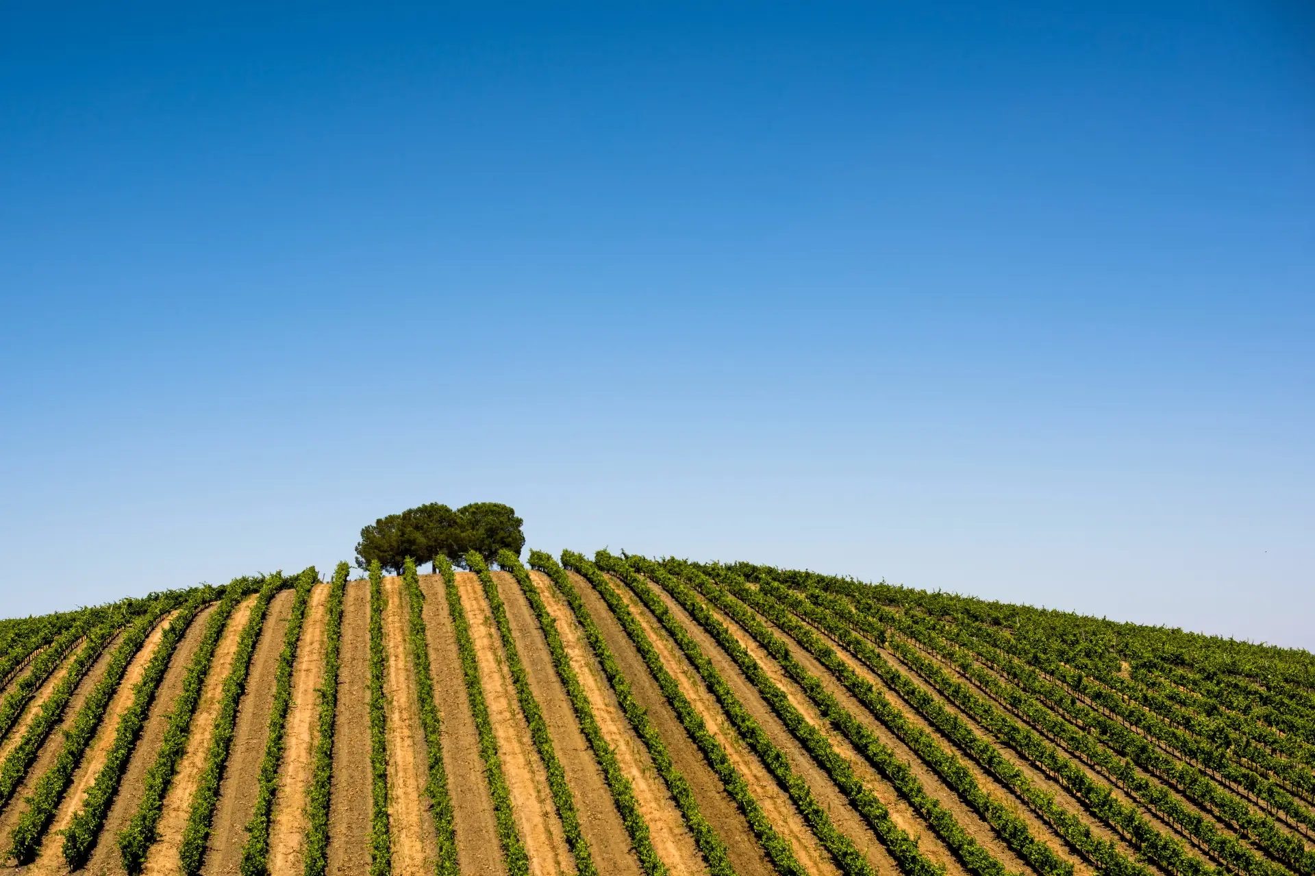 Quinta Do Quetzal - Winalist