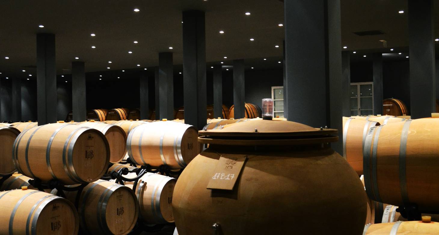 Les Routes des vins de Bordeaux : Domaines, itinéraires et cartes - 2026 - 31 - route des vins de Bordeaux route des vins de Bordeaux - Les Routes des vins de Bordeaux : Domaines, itinéraires et cartes - 2026 - 30