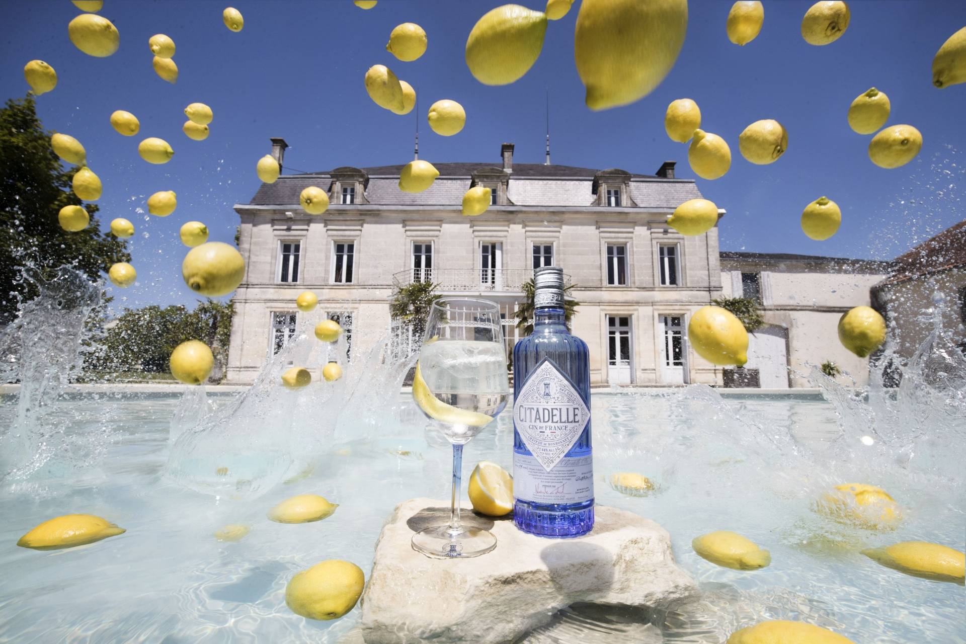 Distillerie De Citadelle Gin - Winalist