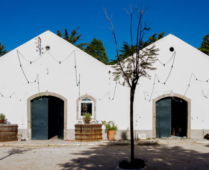 A Cave - Restaurant restaurant in Torres Vedras, Lisboa
