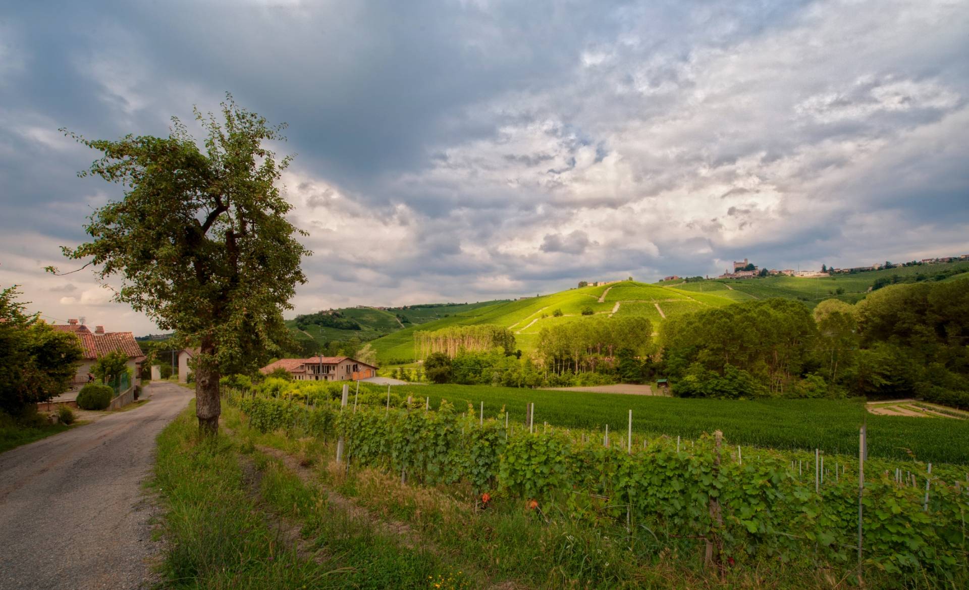 Sara Vezza - Josetta Saffirio - Winalist