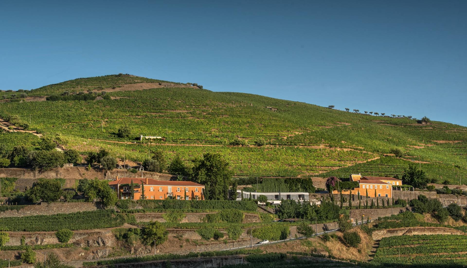 Quinta Do Vallado Wine Hotel - Winalist