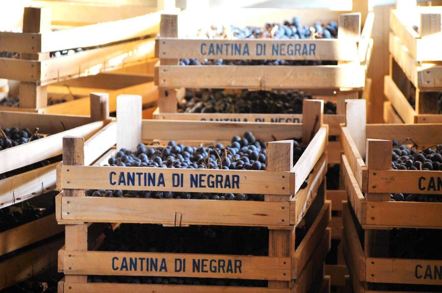Journey through the Crus - Cantina Valpolicella Negrar - Winalist