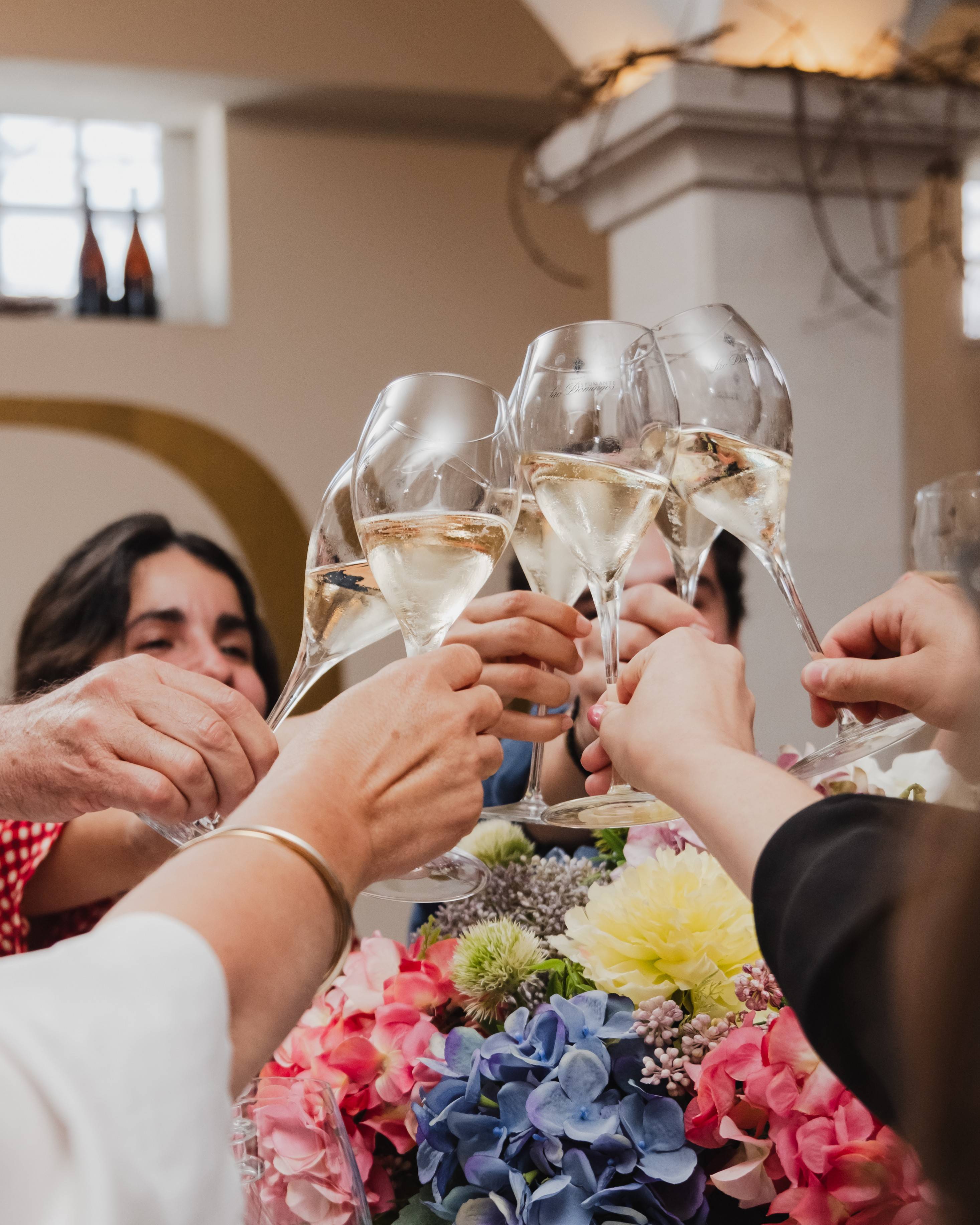 Visit and Tasting of Sparkling Wines, Wines and Spirits