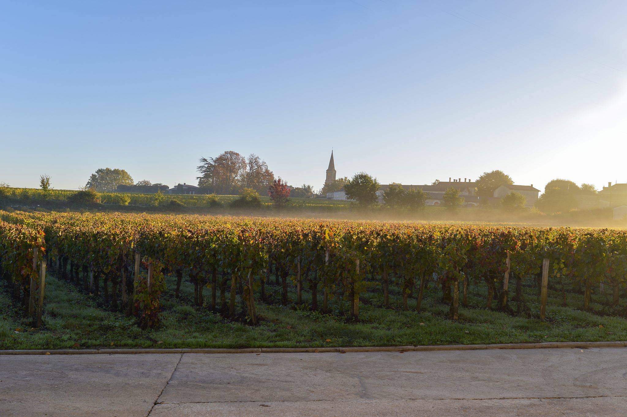 Vignobles Carles