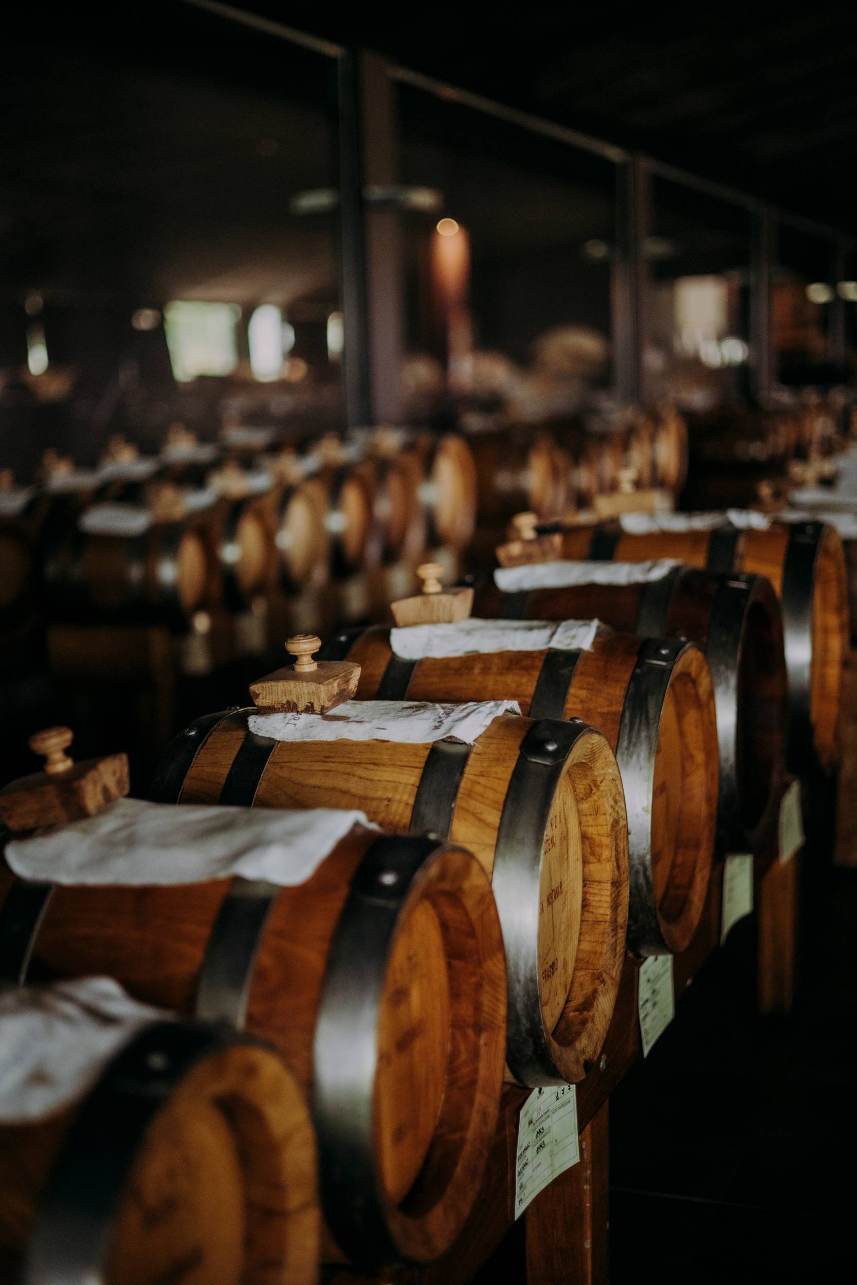 Balsamico Experience