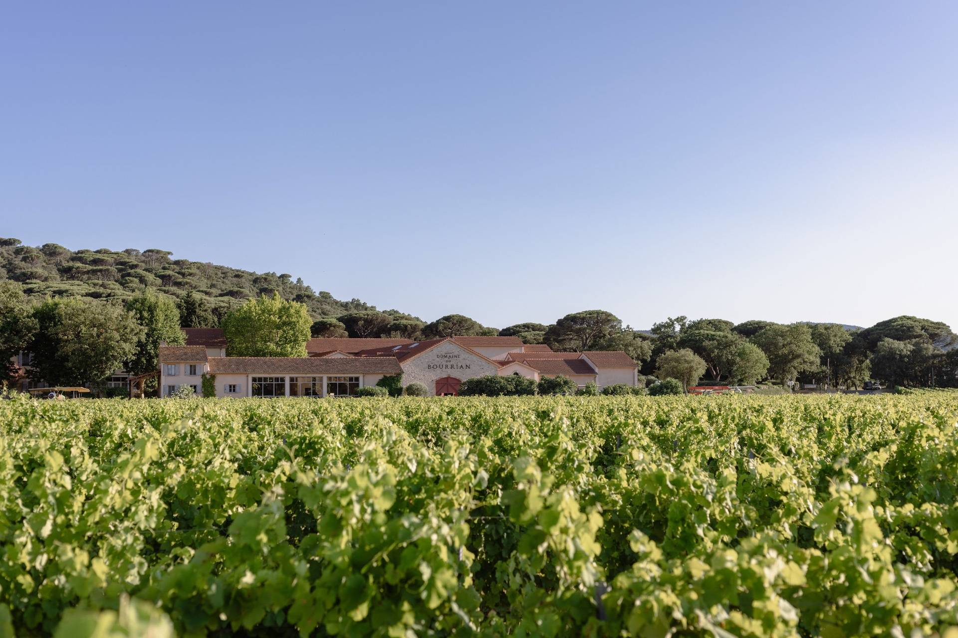 Domaine Du Bourrian - Winalist