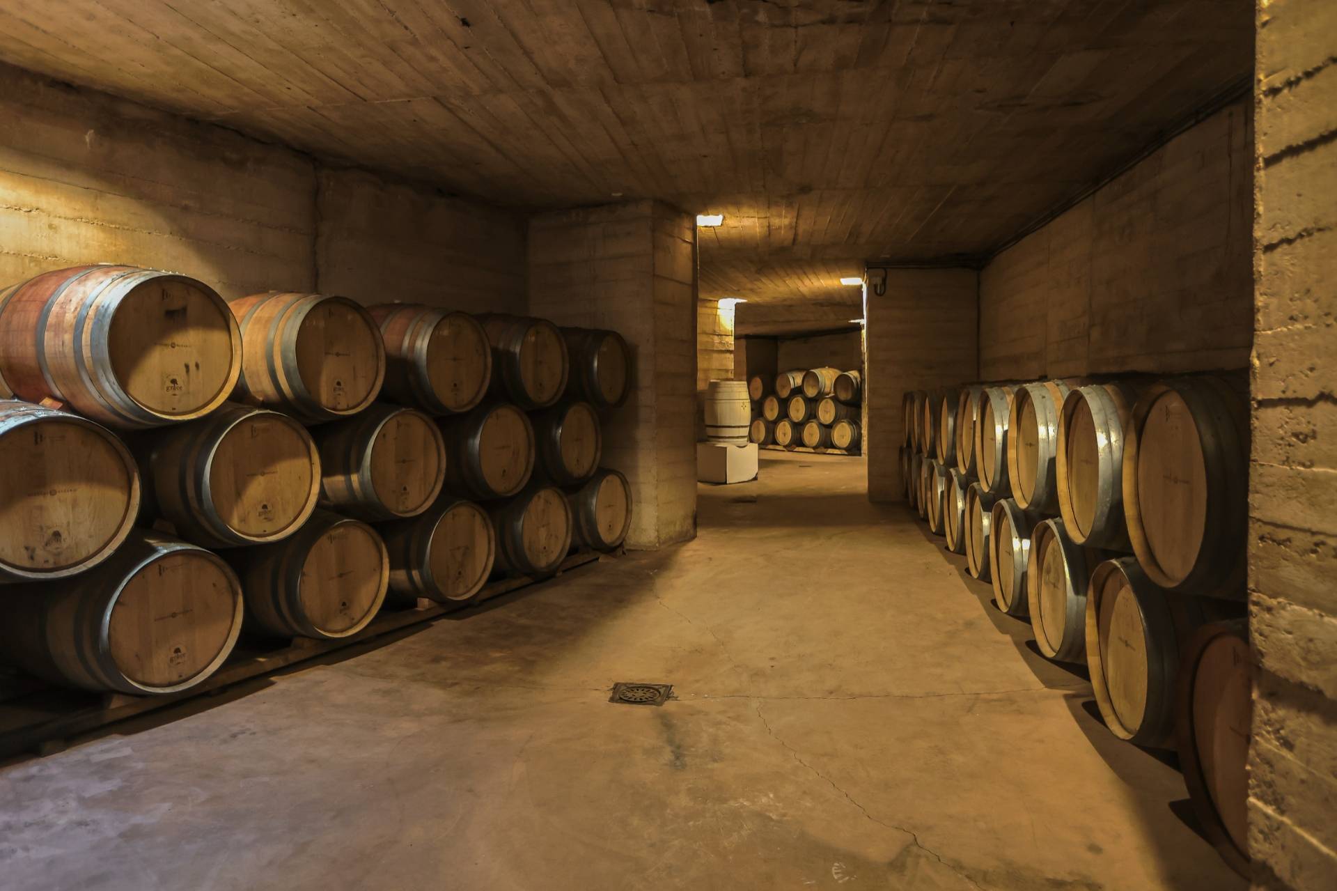 Discover Bodegas Naranjo