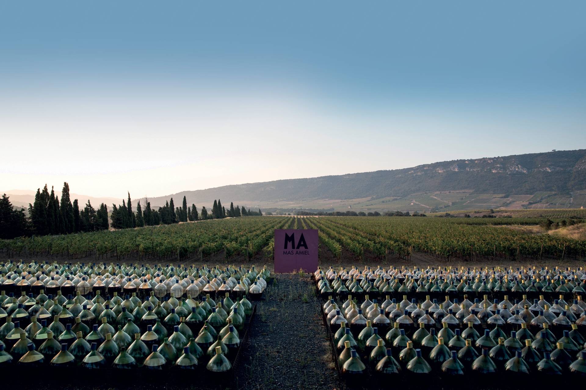 Domaine du Mas Amiel - Winalist