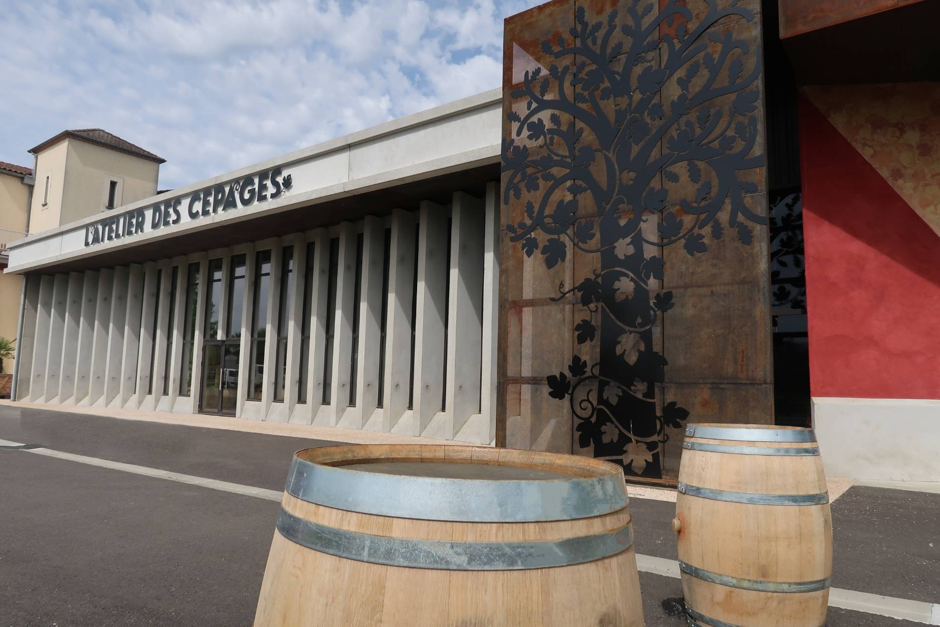 Dalla vigna alla cantina