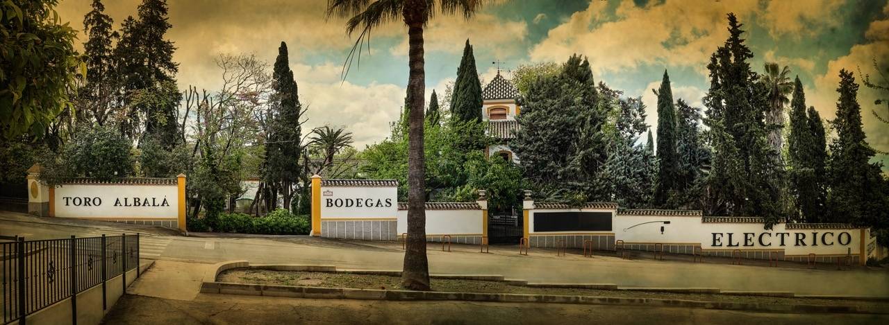 Bodegas Toro Albalá - Winalist