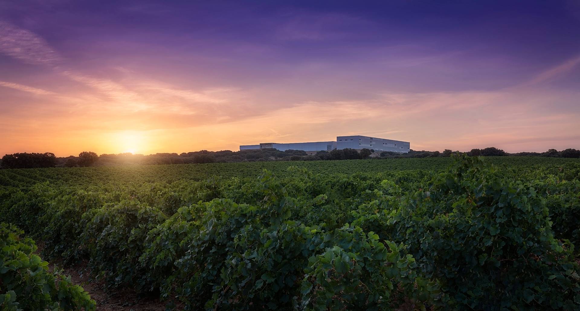 Finca Antigua - Winalist