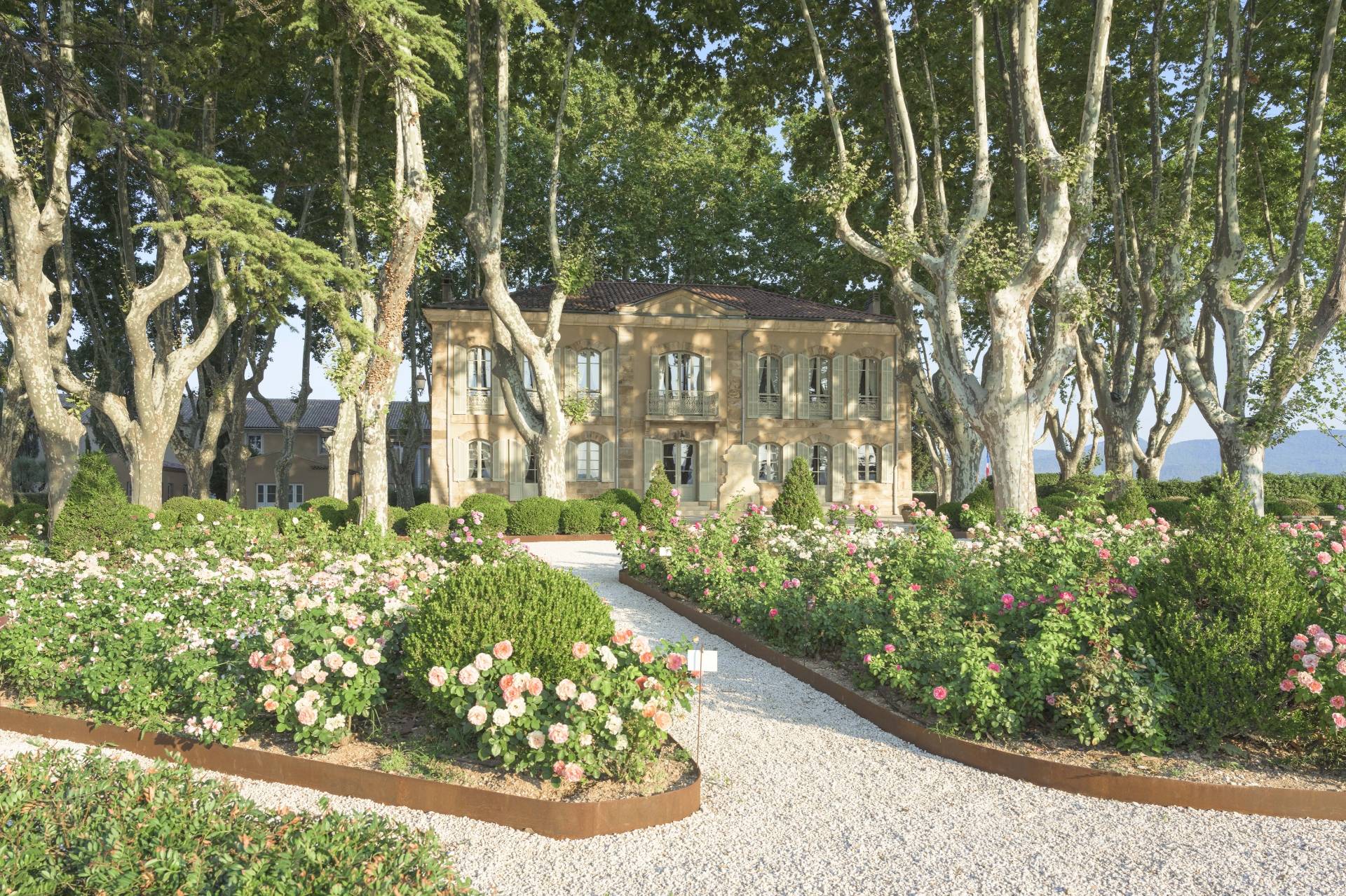 Route des vins de Saint-Tropez : Guide et itinéraire - 2026 - 20 - route des vins de Saint-Tropez route des vins de Saint-Tropez - Route des vins de Saint-Tropez : Guide et itinéraire - 2026 - 19