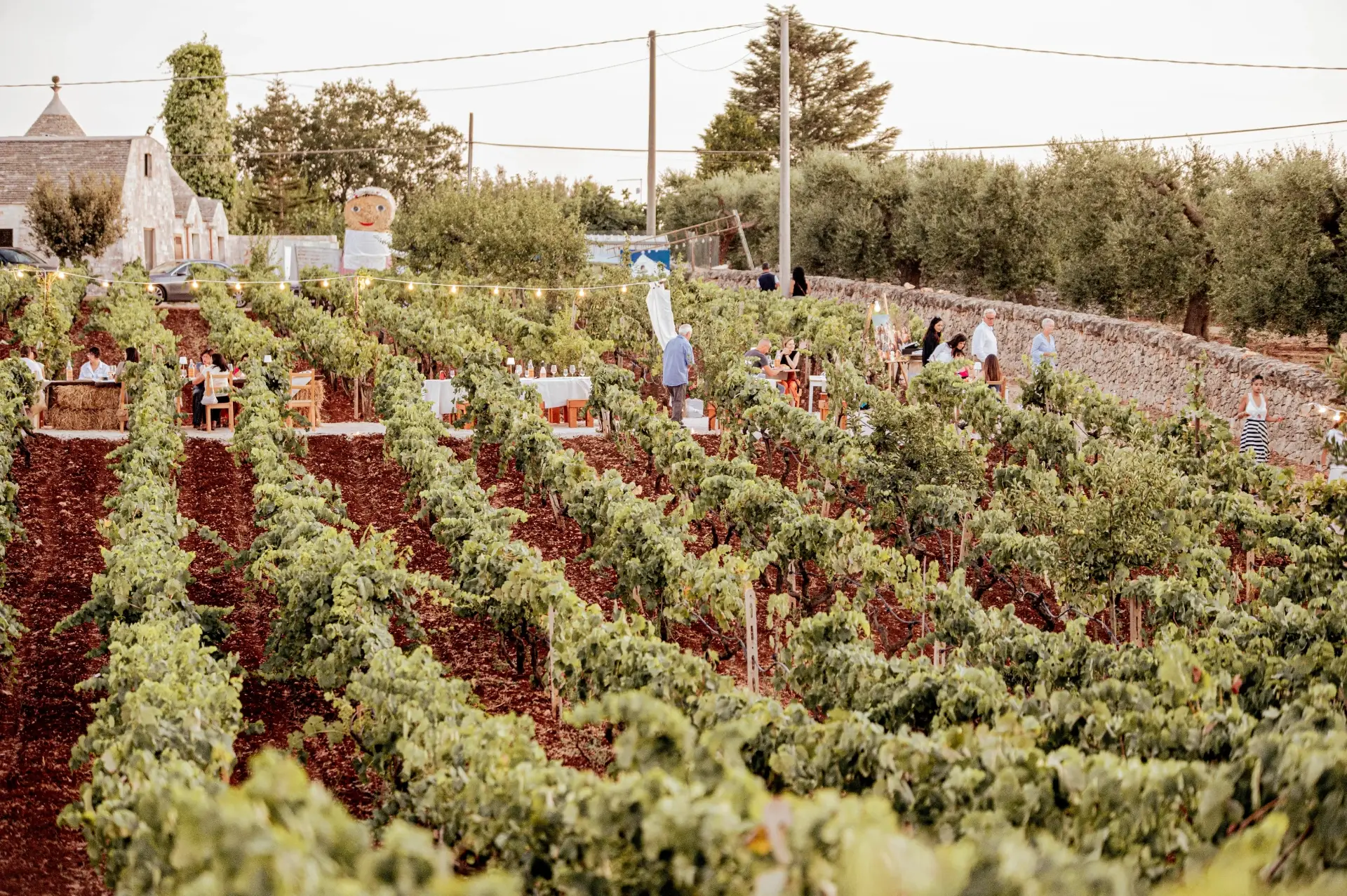 Cantina Museo Albea - Winalist