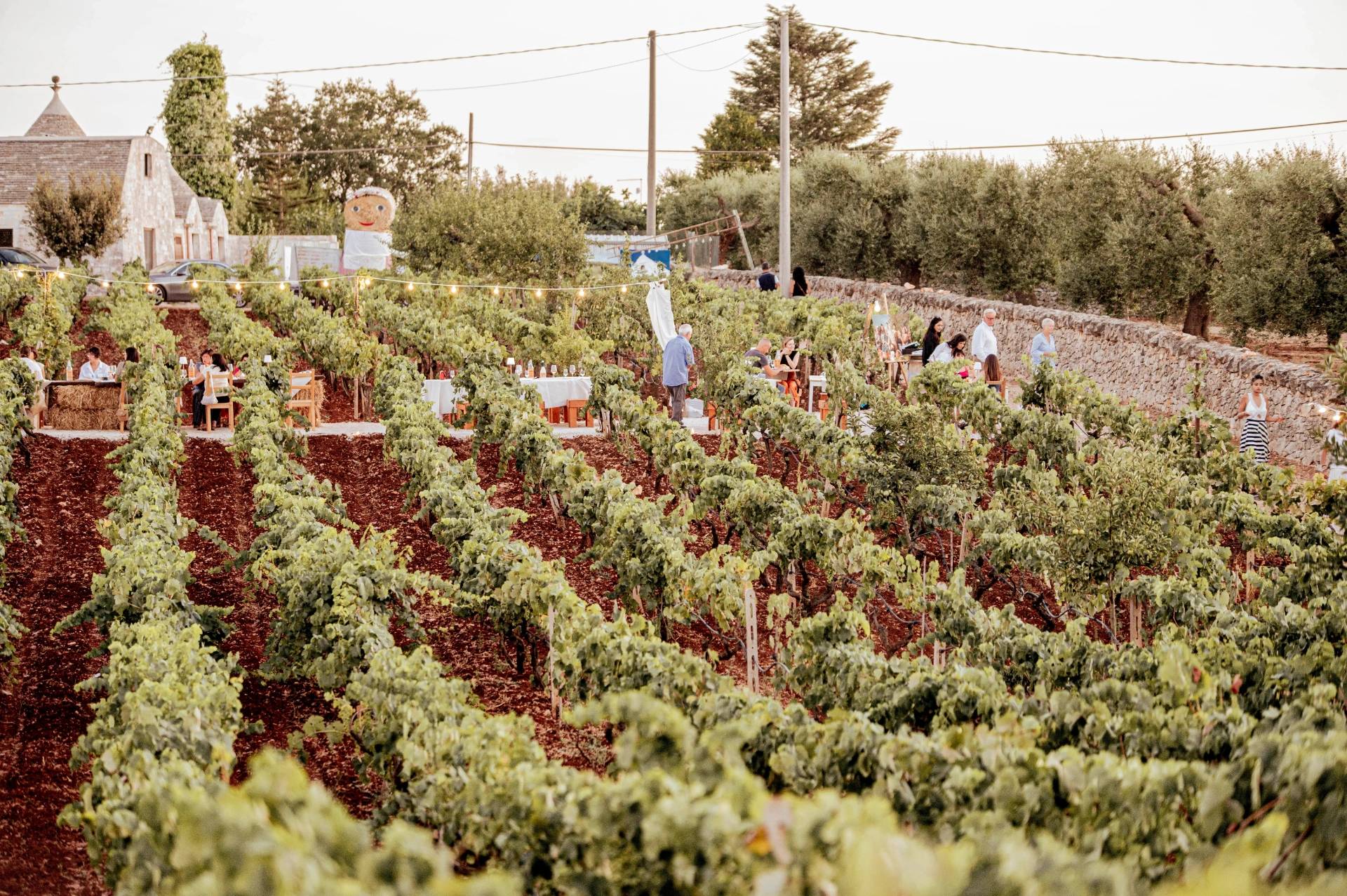 cisternino - Visiter Cisternino : Guide complet du joyau blanc de la Vallée d’Itria - 2025 - 19