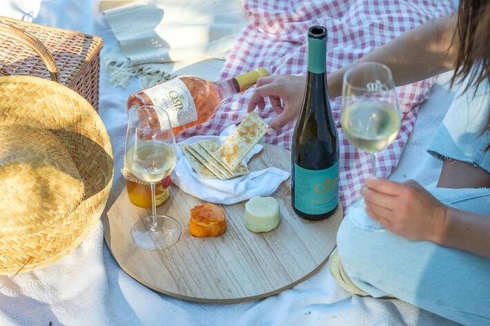 Estate visit and guided wine tasting