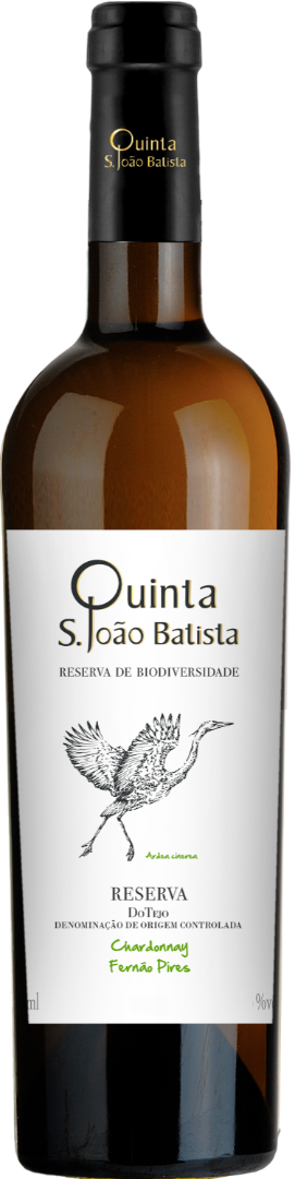 Quinta São João Batista Reserva Branco