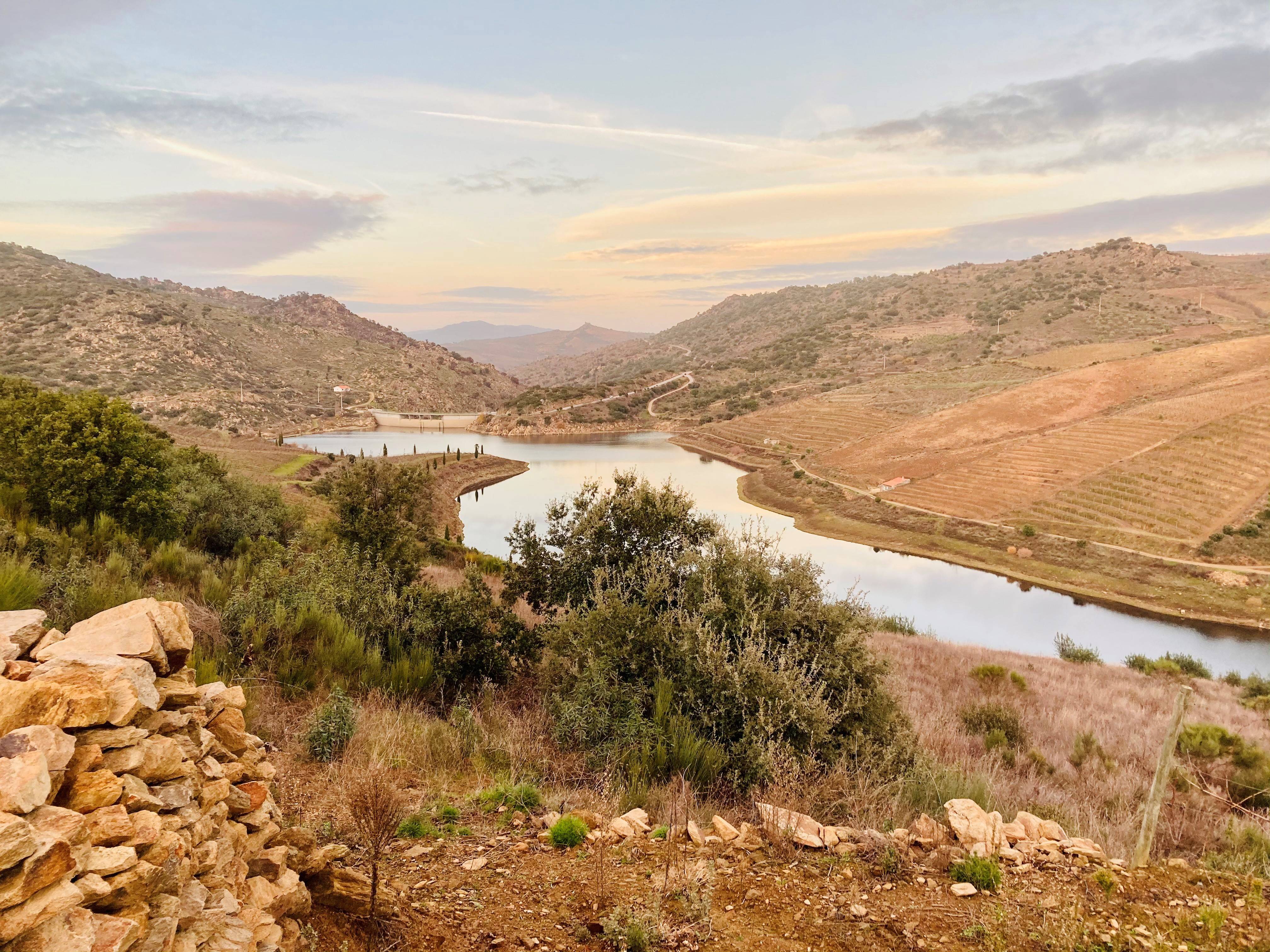 Visiter la Vallée du Douro : Guide complet entre vignobles d’exception et villages secrets - 2026 - 17 - Vallée du Douro Vallée du Douro - Visiter la Vallée du Douro : Guide complet entre vignobles d’exception et villages secrets - 2026 - 16