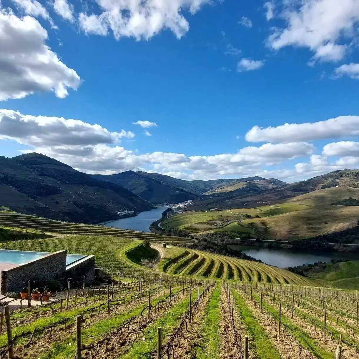 Wine Experiences Portugal - Winalist