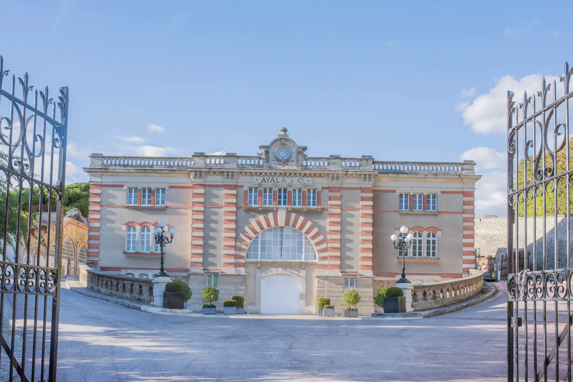 Champagne Ayala - Winalist