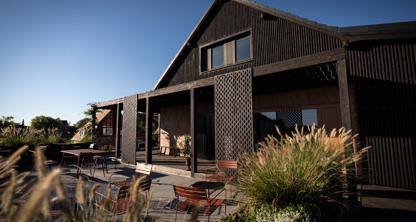 Que faire à Ribeauvillé en Alsace : Découverte et Idées de Visites - 2026 - 22 - que faire à ribeauvillé que faire à ribeauvillé - Que faire à Ribeauvillé en Alsace : Découverte et Idées de Visites - 2026 - 21