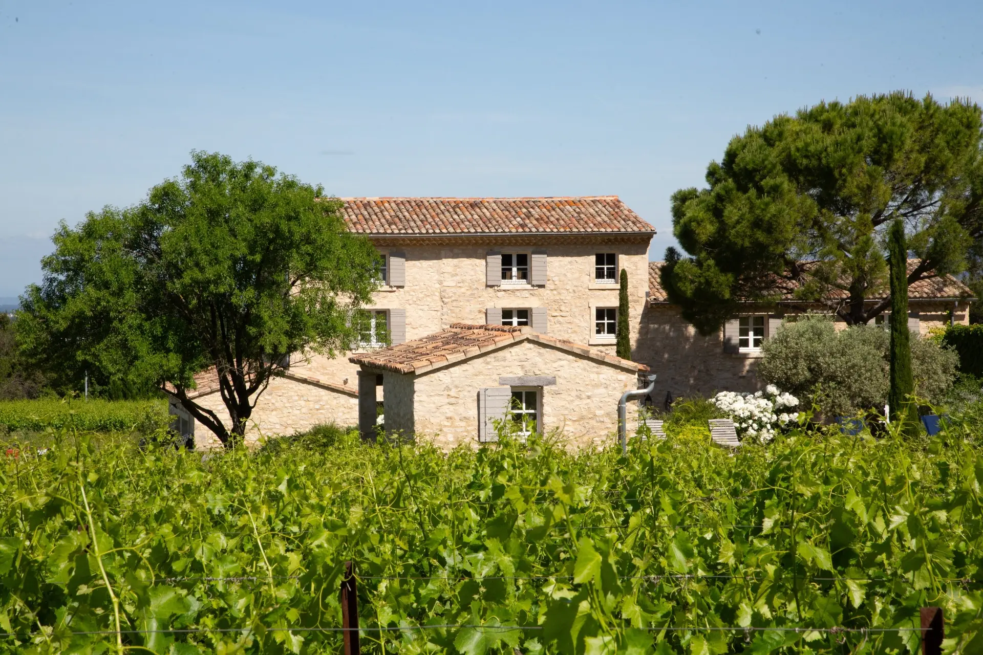 Domaine du Chat Blanc - Winalist