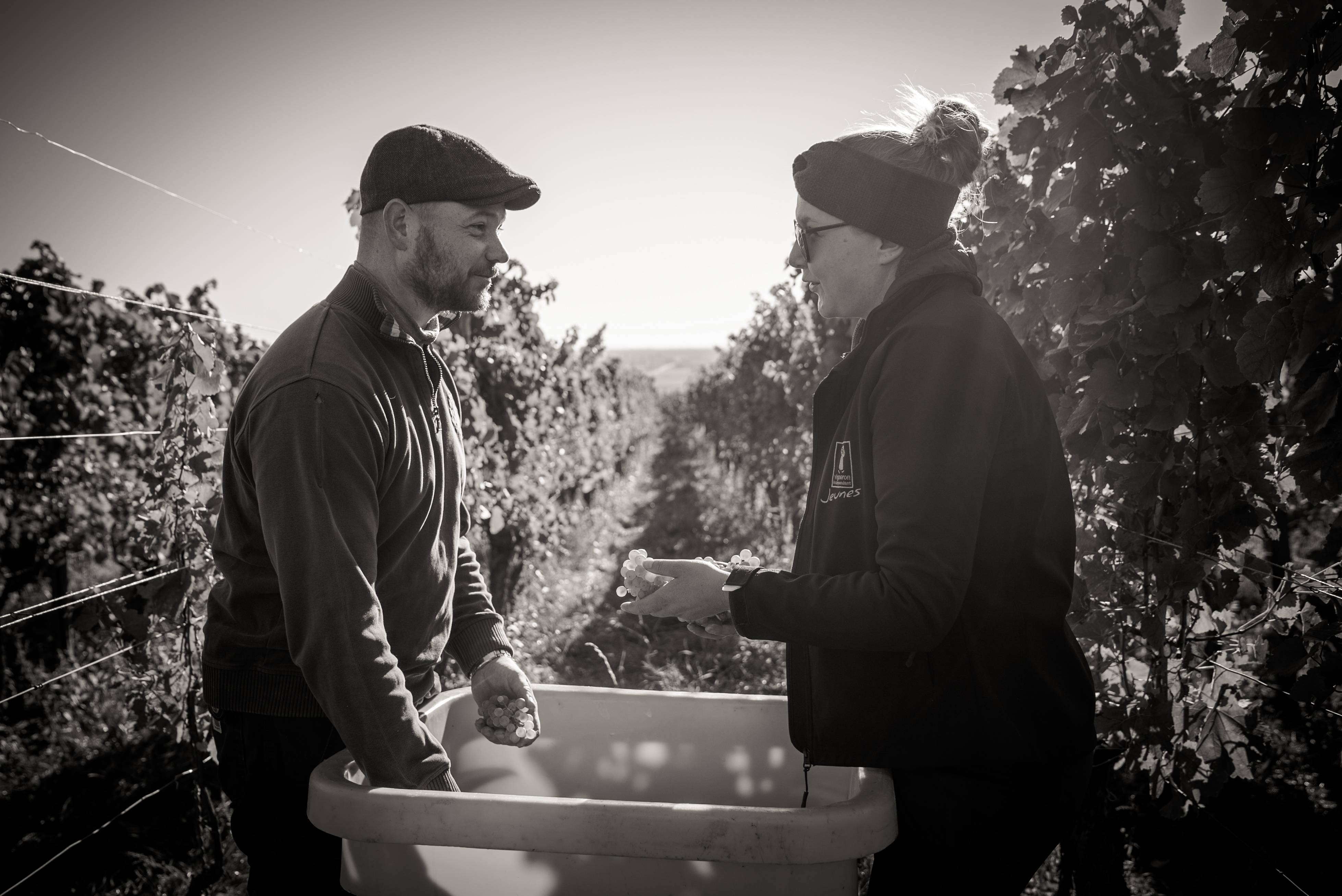 Winemaker for a day - Maison Jean Huttard - Winalist