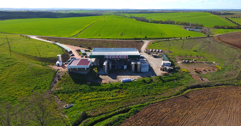 Ervideira - Winalist