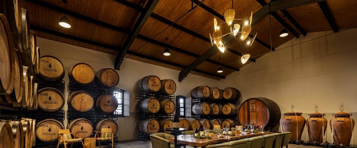 Wine Tour com Prova de 3 Vinhos