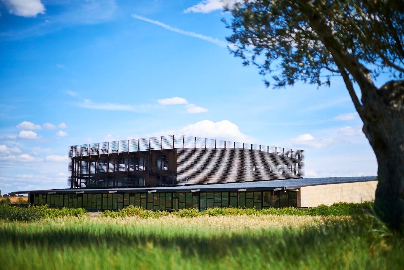 Bodega Bela - Winalist