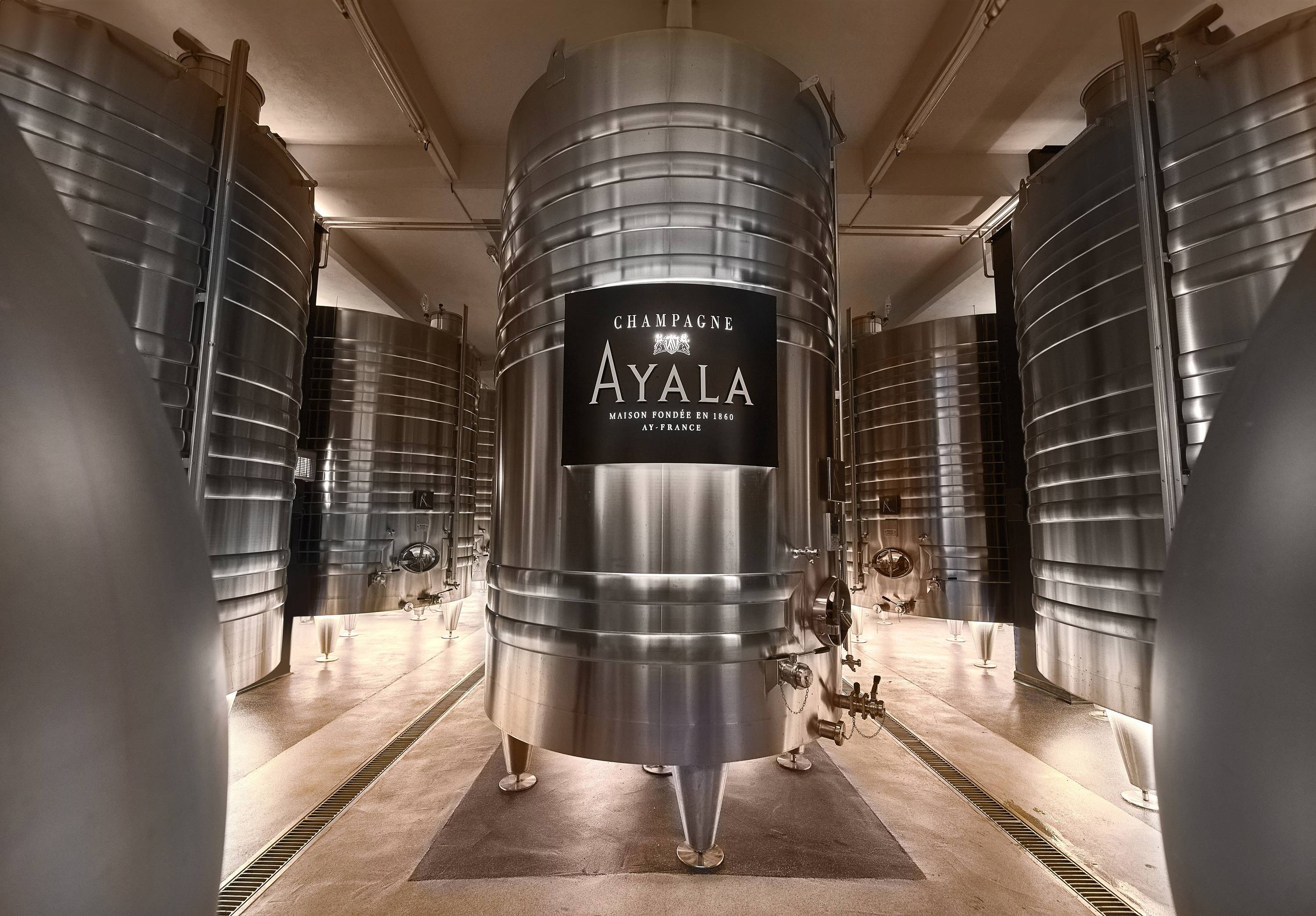 Tour Esperienza Ayala