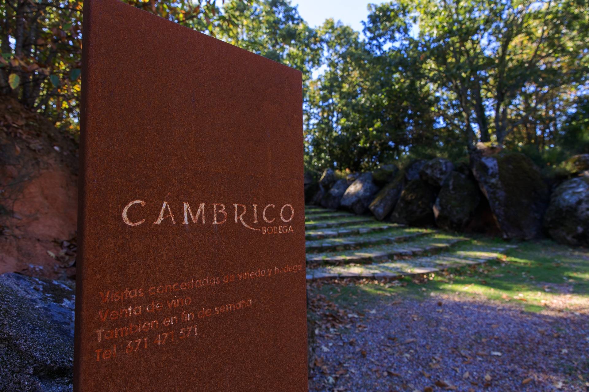 Cámbrico - Winalist