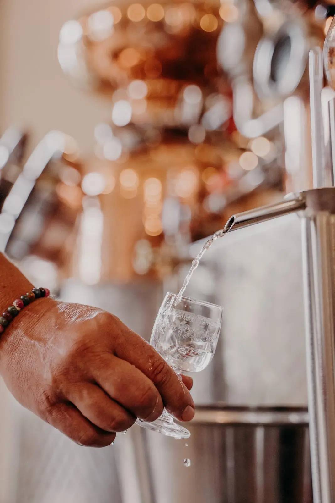 Distillerie Artisanale, visite et dégustation 