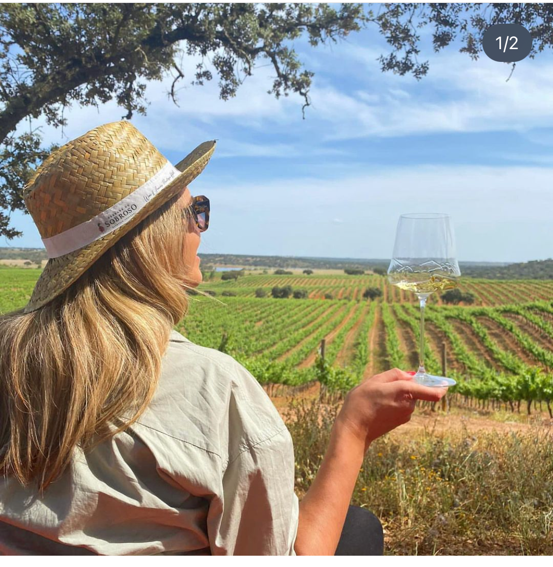 Wine Tour Super Premium com Prova de 5 Vinhos - Herdade Do Sobroso Wine & Luxury Boutique Hotel - Winalist