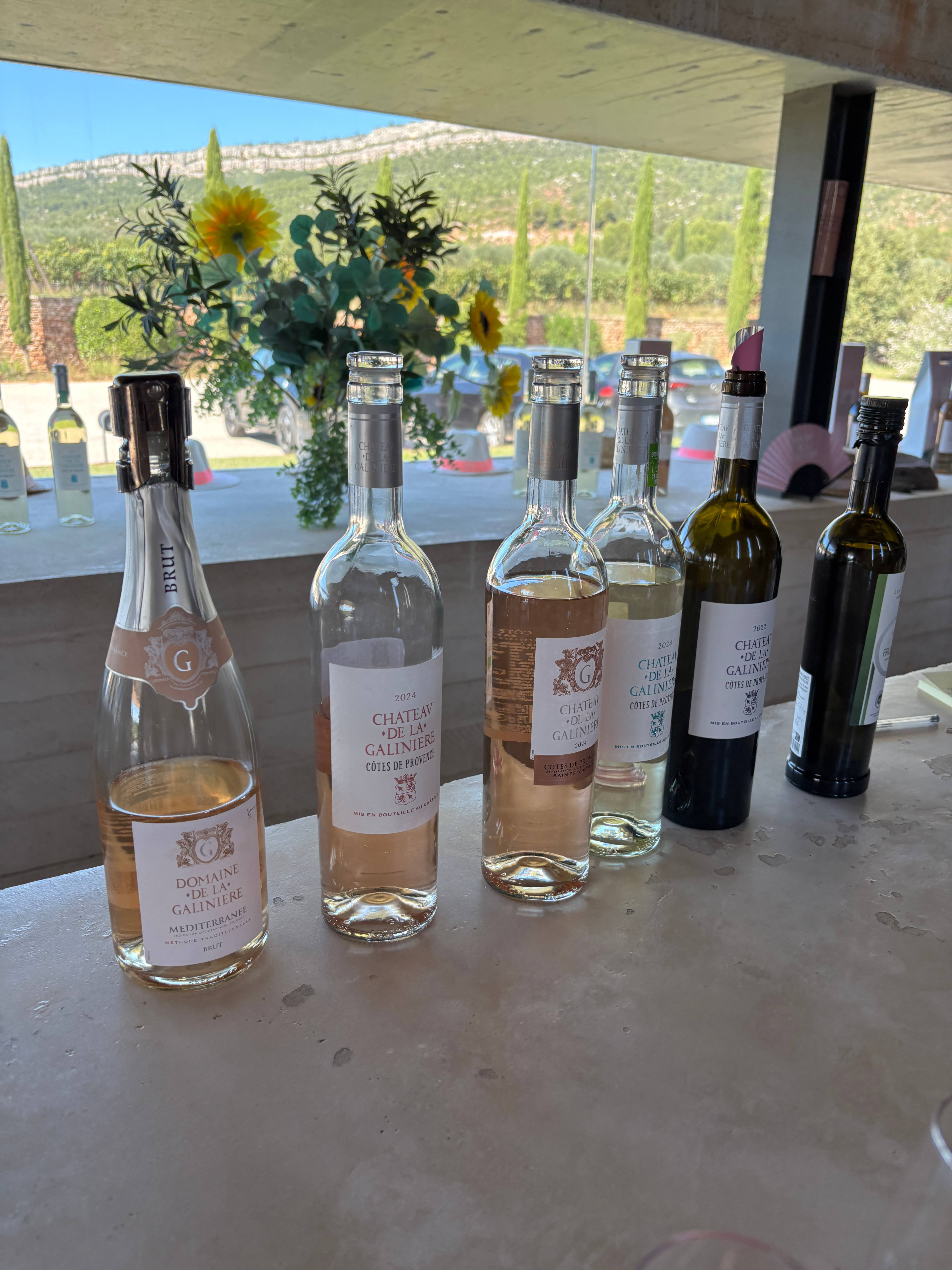 Vineyard and Wine Immersion