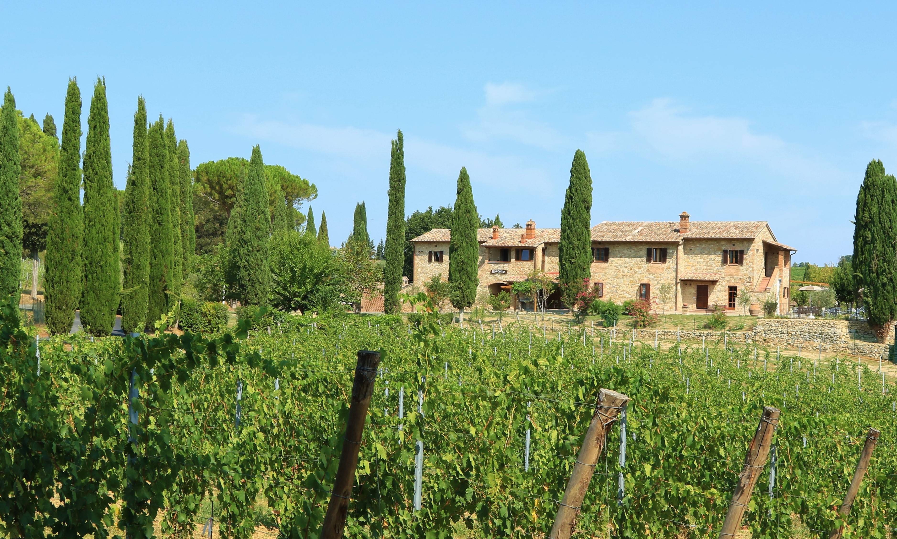 Onze 4 DOCG-wijnen - Tenuta Sovestro   San Gimignano - Winalist