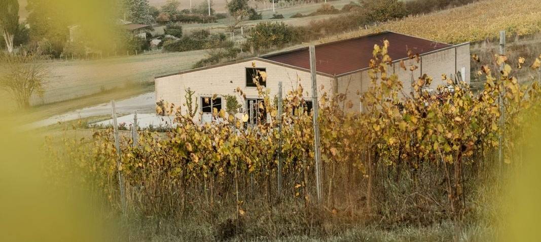 Terra d'Aquesia - Winalist