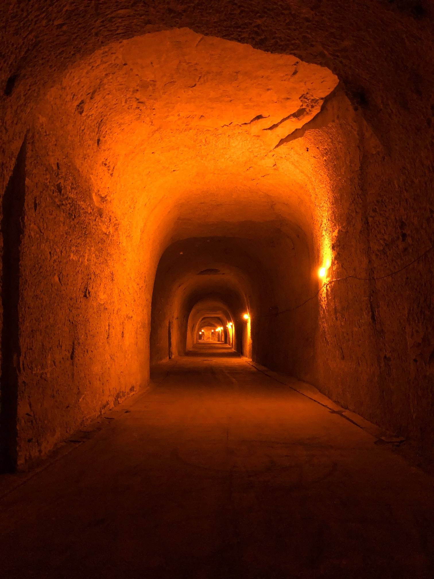 Visiter Châlons-en-Champagne : les activités incontournables - 2026 - 12 - - Visiter Châlons-en-Champagne : les activités incontournables - 2026 - 11