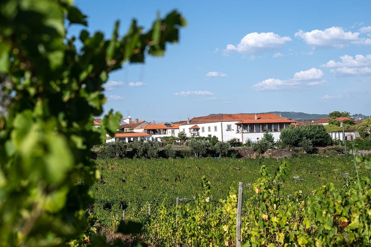 Vieira De Sousa - Winalist