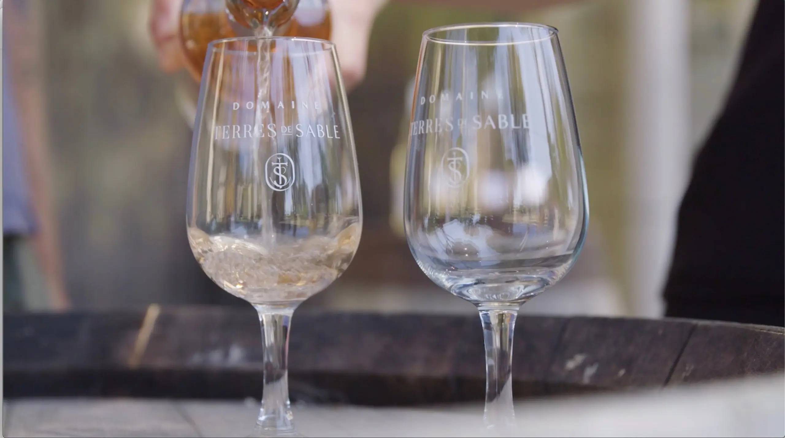 Visita e prova da propriedade - Domaine Terres de Sable  - Winalist