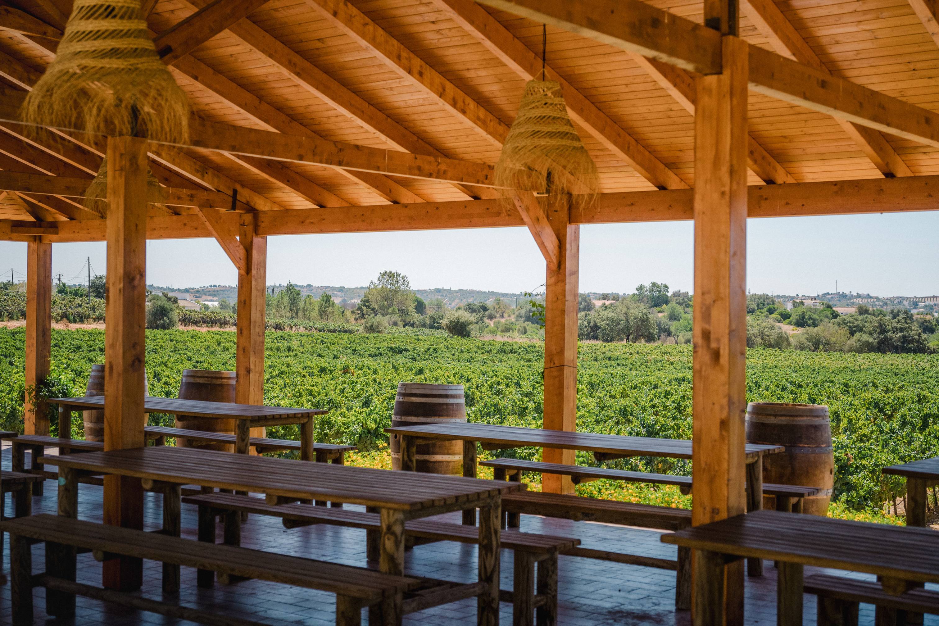 visit lagoa - Visit Lagoa Portugal: From Ocean Views to Vineyards and Villages - 2025 - 17