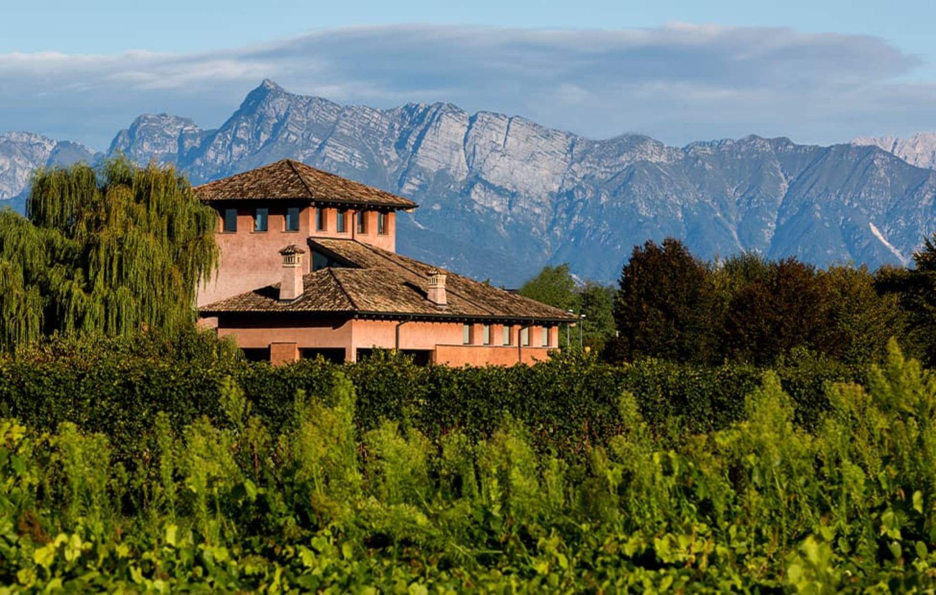 san daniele del friuli - Visiter San Daniele del Friuli : Une escale authentique au cœur du Frioul - 2025 - 15
