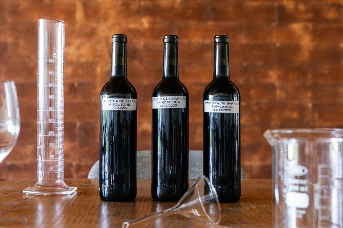 Be an Oenologist for a Day