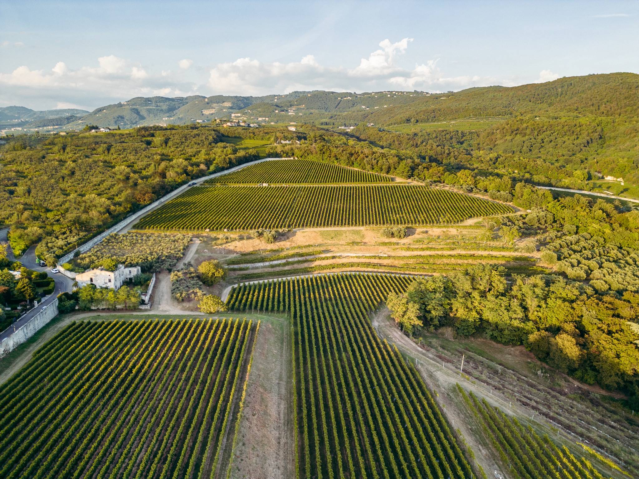 things to do in verona - Best things to do in Verona: Admire Juliet's balcony - 2025 - 31