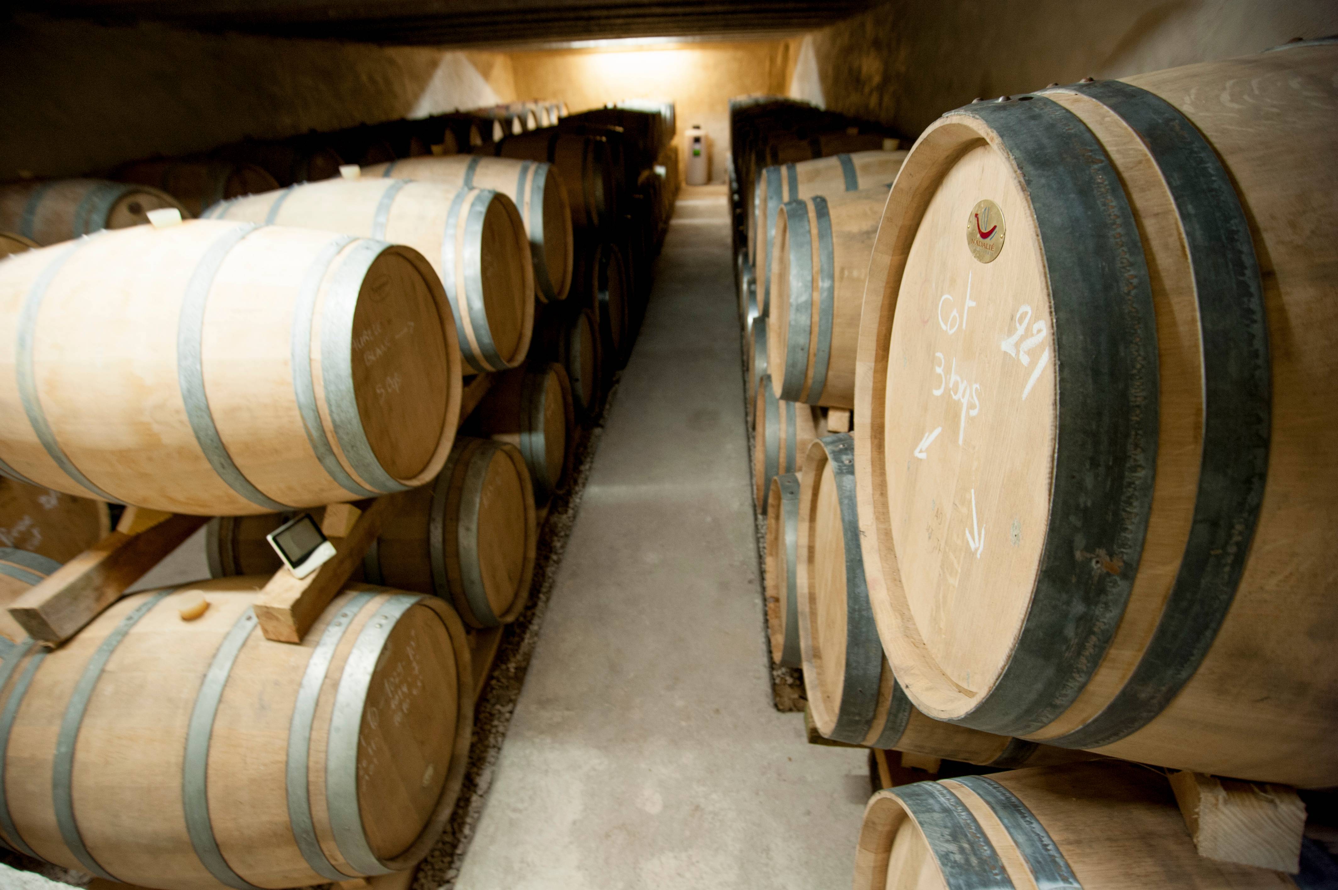 Visit of an estate in Touraine