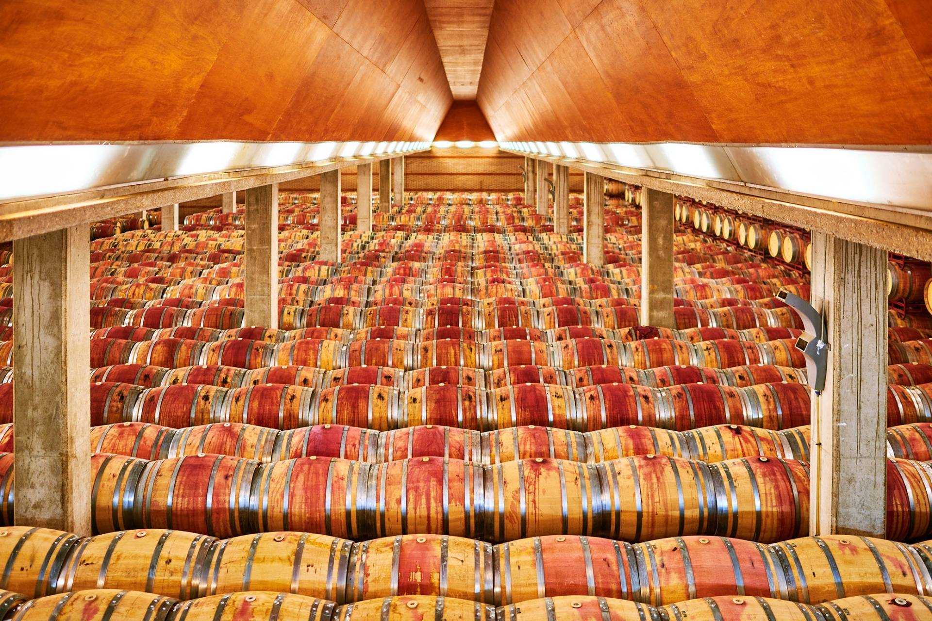 Bodega Enate - Winalist