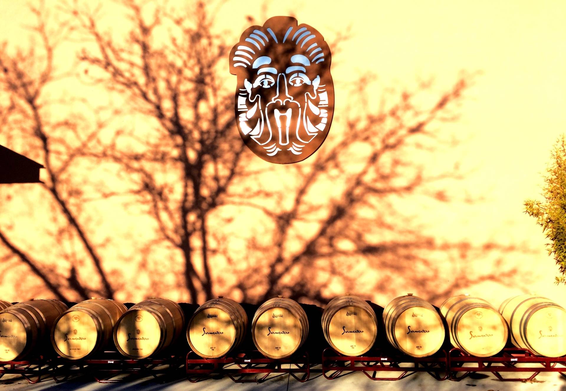 Bodega Sarmentero - Winalist