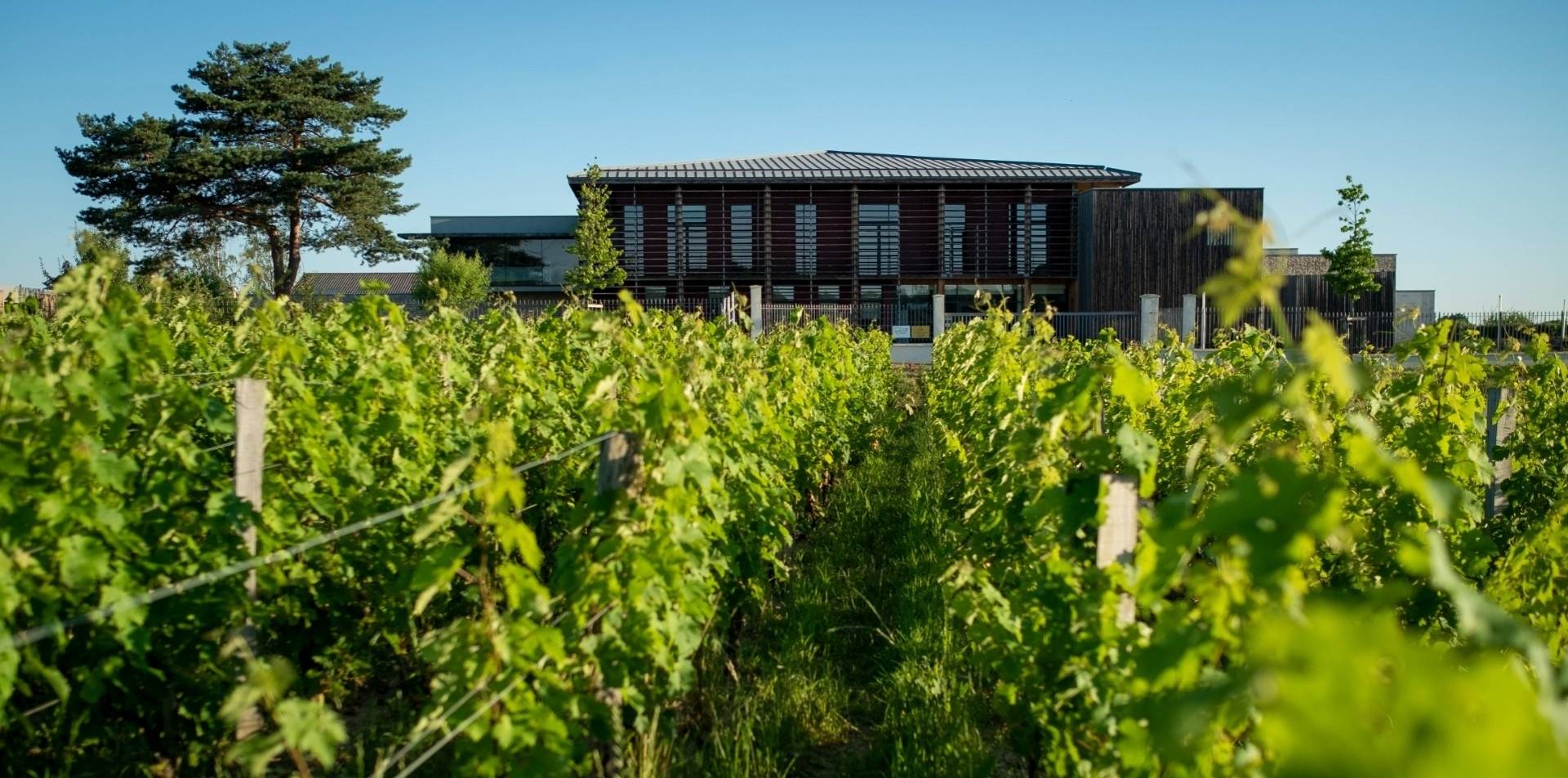 Château Couhins - Winalist